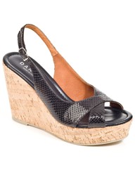 Daniel Starry Wedge