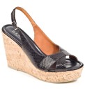 Daniel Starry Wedge