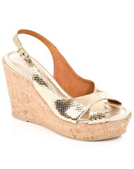 Daniel Starry Wedge