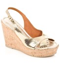 Daniel Starry Wedge