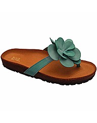 Riva Angelfish Toe Post