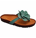 Riva Angelfish Toe Post