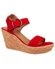 Daniel Tipi Wedge