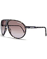 Carrera Sunglasses