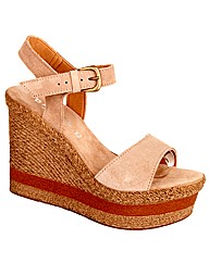 Daniel Elijah Wedge