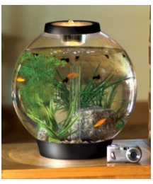 Biorb 30L Coldwater Aquarium Black