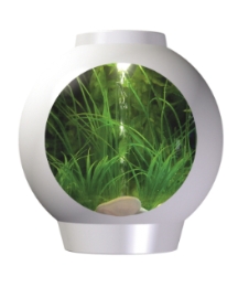 Spyorb 30 Aquarium White