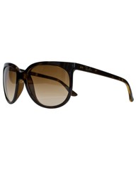 RayBan Cats 1000 Sunglasses