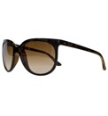 RayBan Cats 1000 Sunglasses