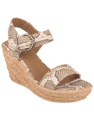 Daniel Tipi Wedge