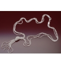 Sterling Silver Classic Knot Necklace