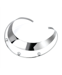 Silver Coloured Collar