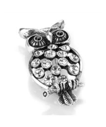 Antique Look Owl Brooch