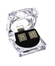Silver Coloured Earrings
