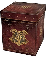 Harry Potter Wizard
