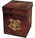 Harry Potter Wizard