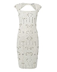 Gina Bacconi Lace Dress With Sequins